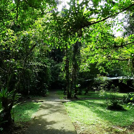 La Selva Biological Station Hotel Puerto Viejo de Sarapiqui ภายนอก รูปภาพ