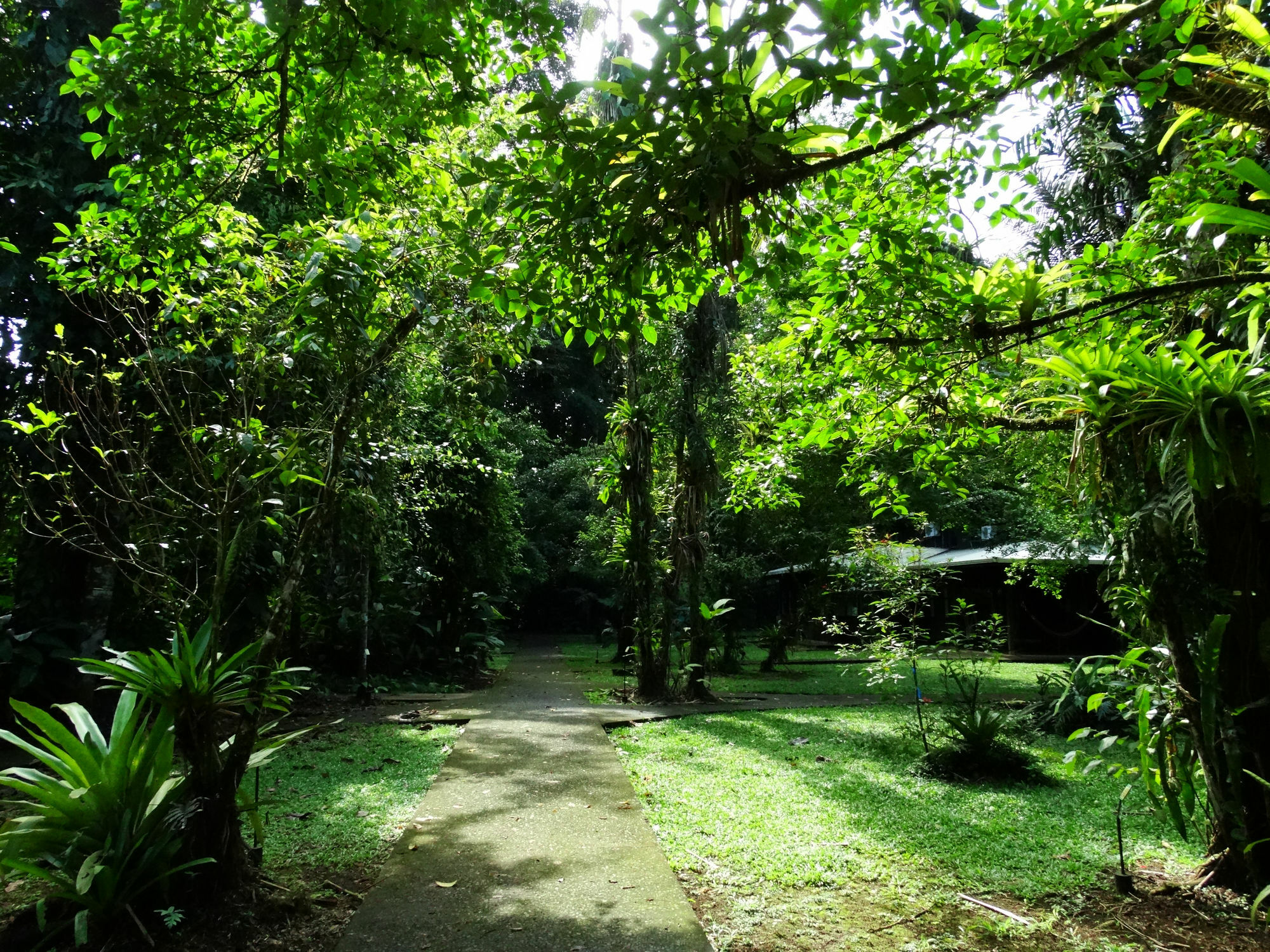 La Selva Biological Station Hotel Puerto Viejo de Sarapiqui ภายนอก รูปภาพ