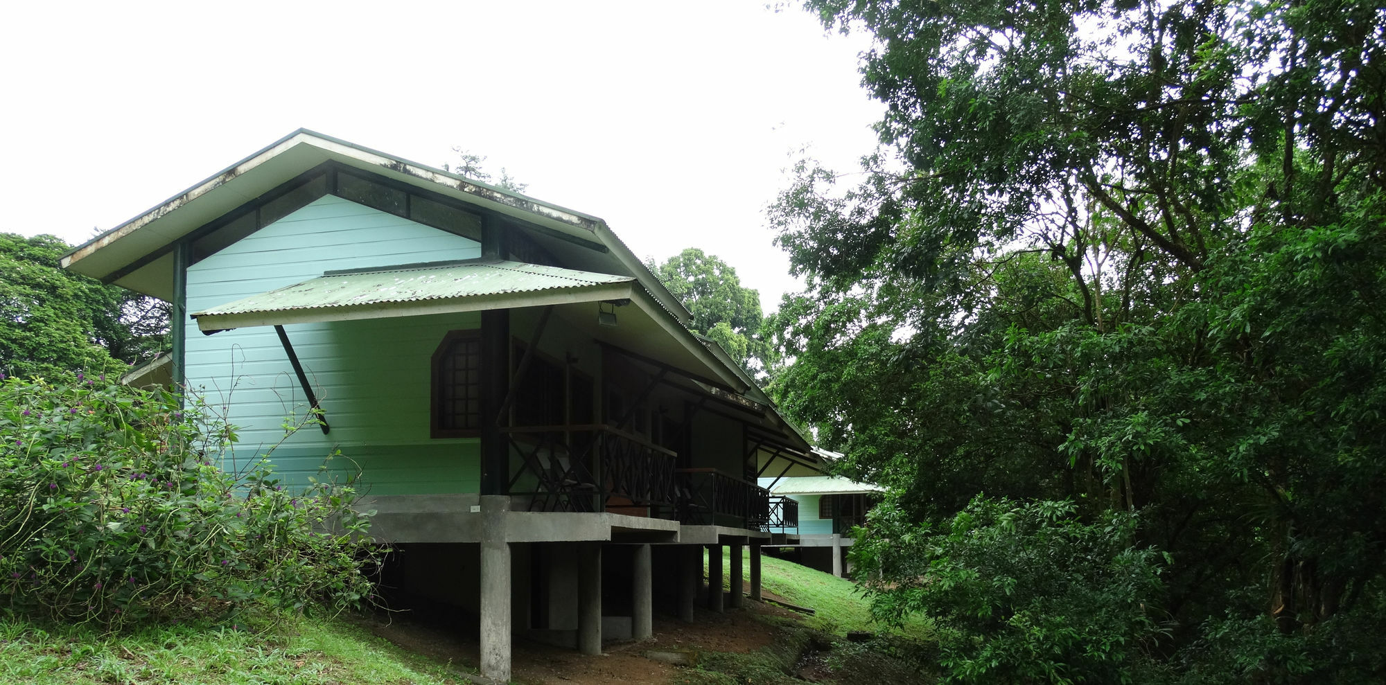 La Selva Biological Station Hotel Puerto Viejo de Sarapiqui ภายนอก รูปภาพ