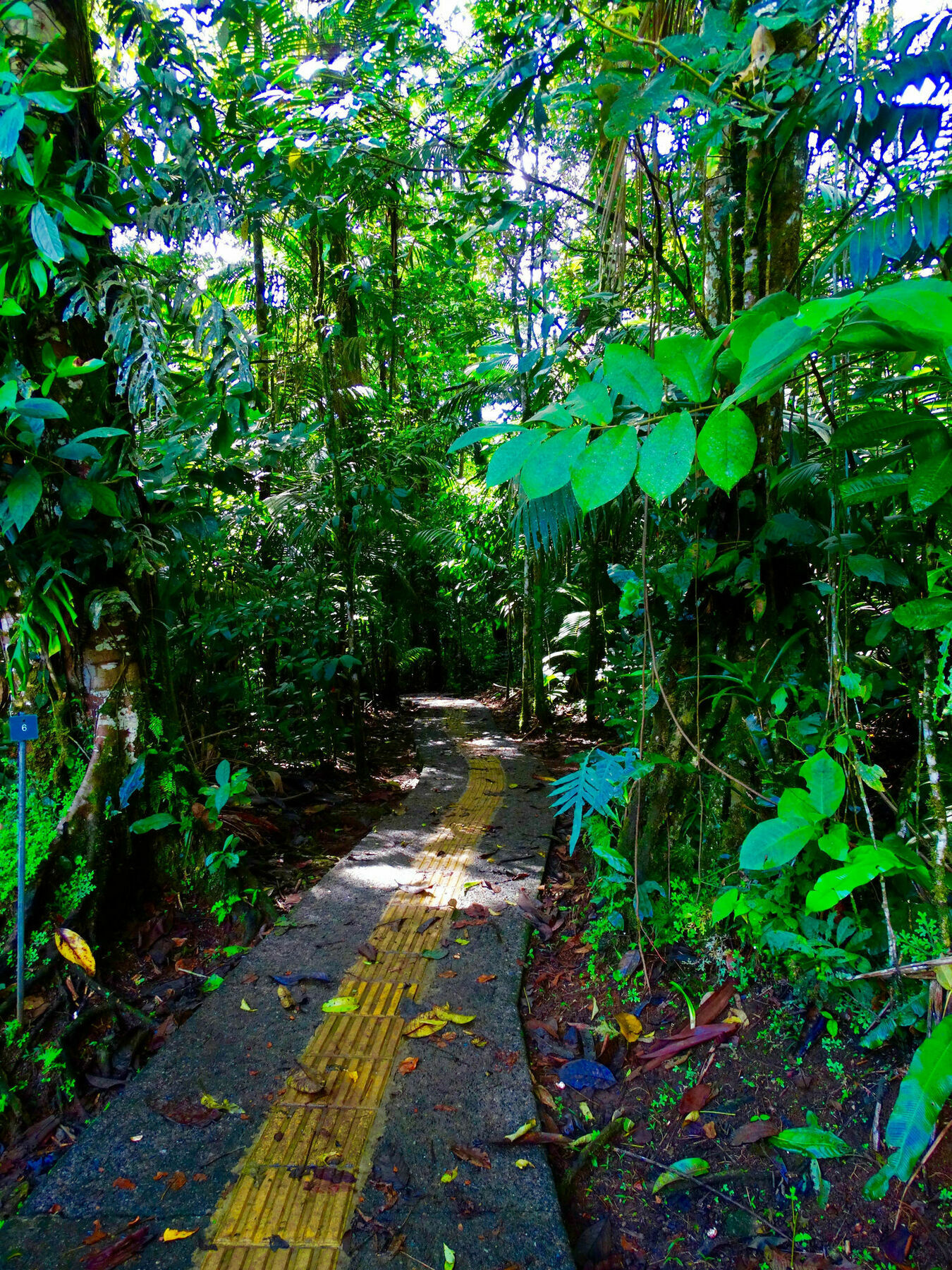 La Selva Biological Station Hotel Puerto Viejo de Sarapiqui ภายนอก รูปภาพ