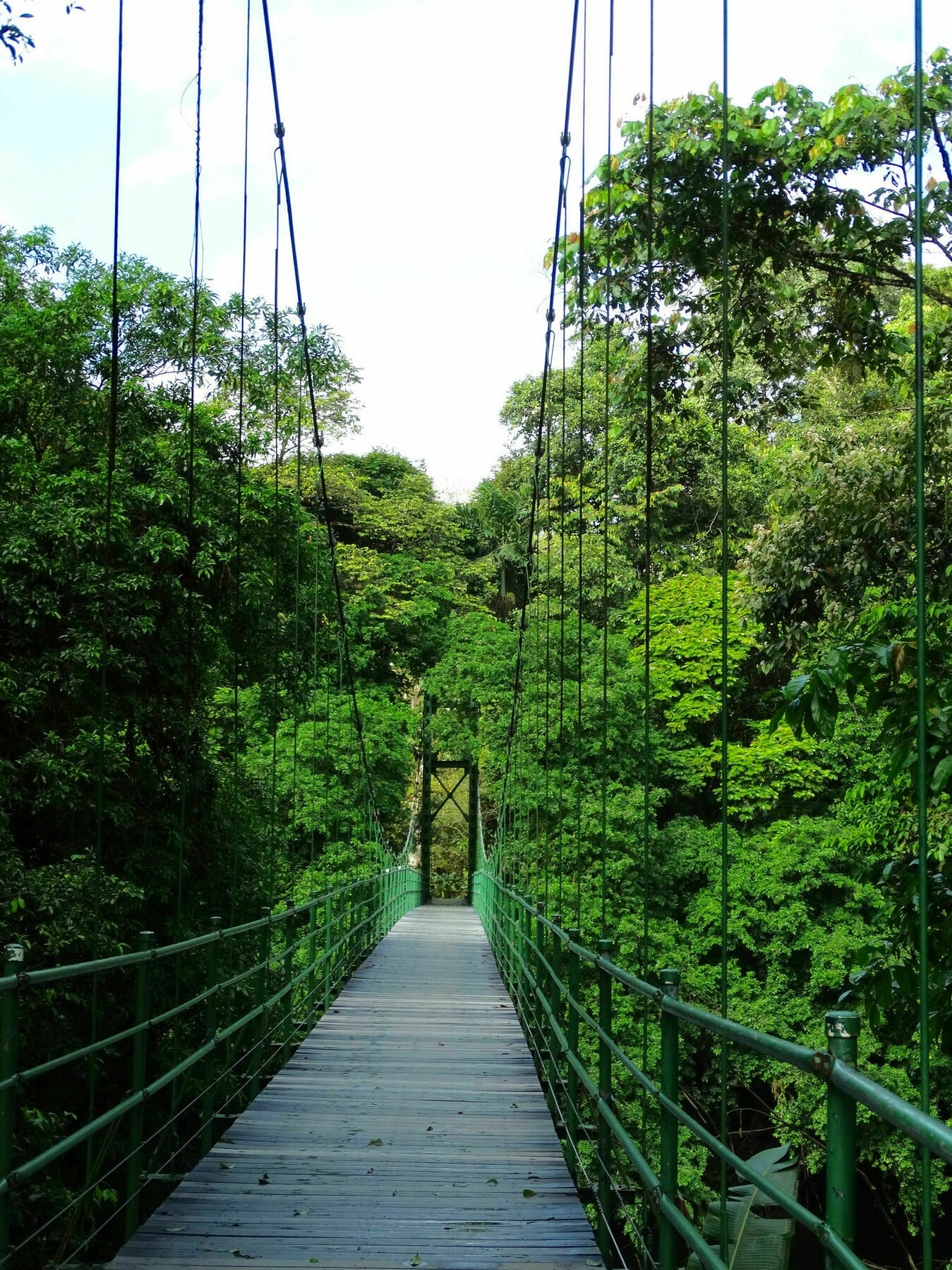 La Selva Biological Station Hotel Puerto Viejo de Sarapiqui ภายนอก รูปภาพ