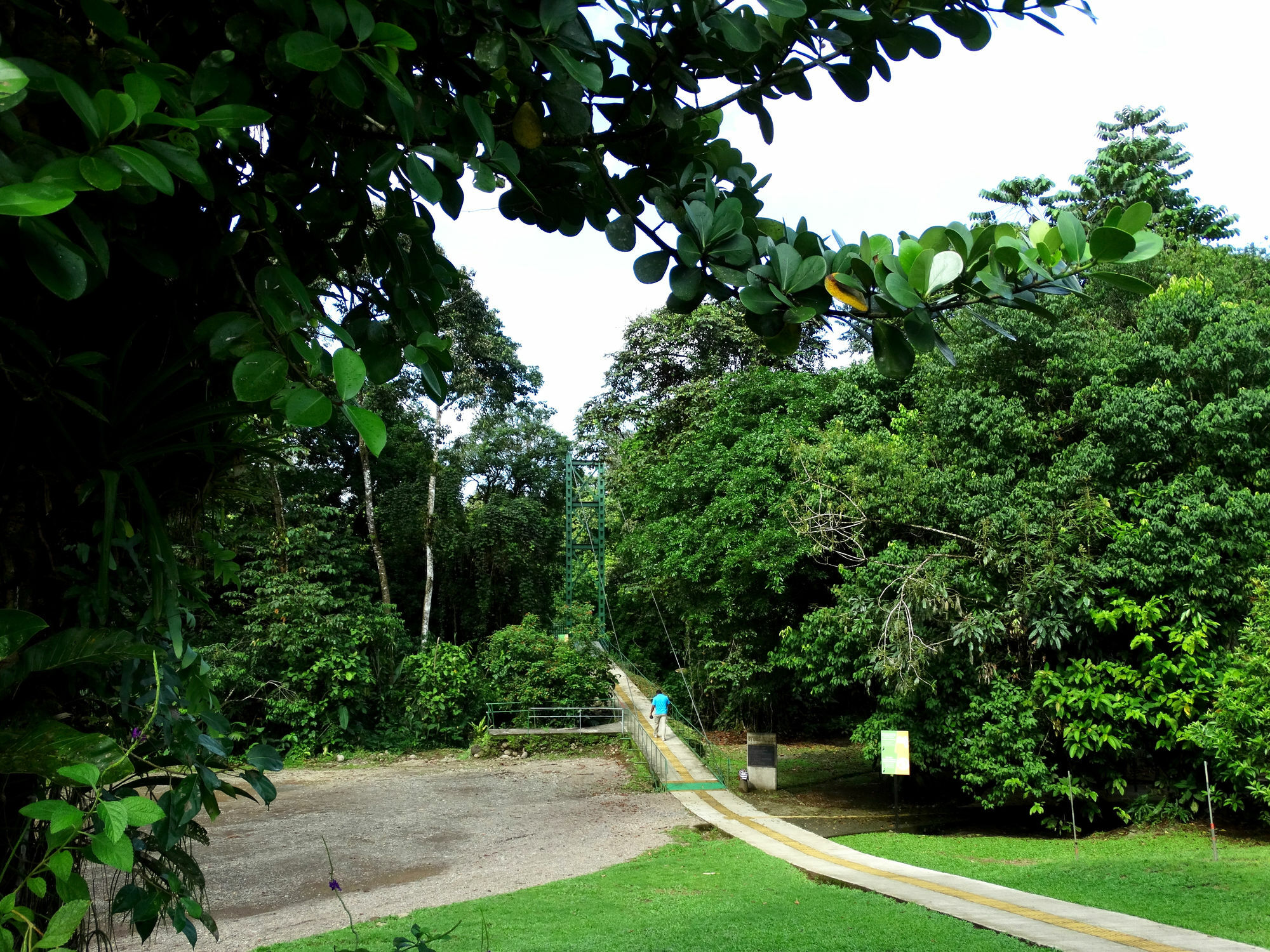 La Selva Biological Station Hotel Puerto Viejo de Sarapiqui ภายนอก รูปภาพ