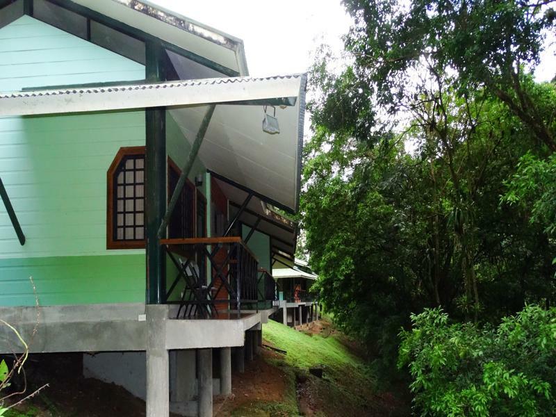 La Selva Biological Station Hotel Puerto Viejo de Sarapiqui ภายนอก รูปภาพ