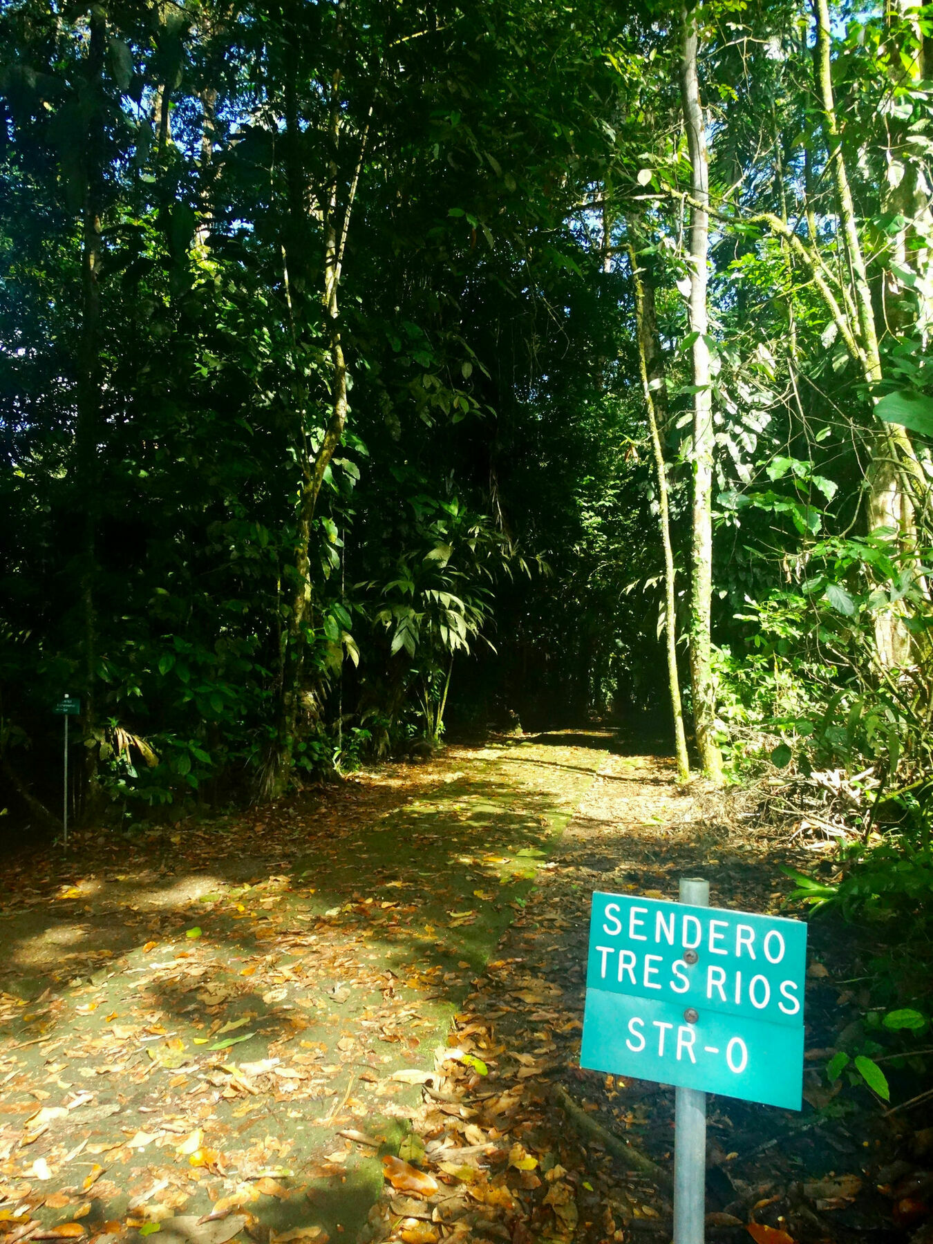 La Selva Biological Station Hotel Puerto Viejo de Sarapiqui ภายนอก รูปภาพ