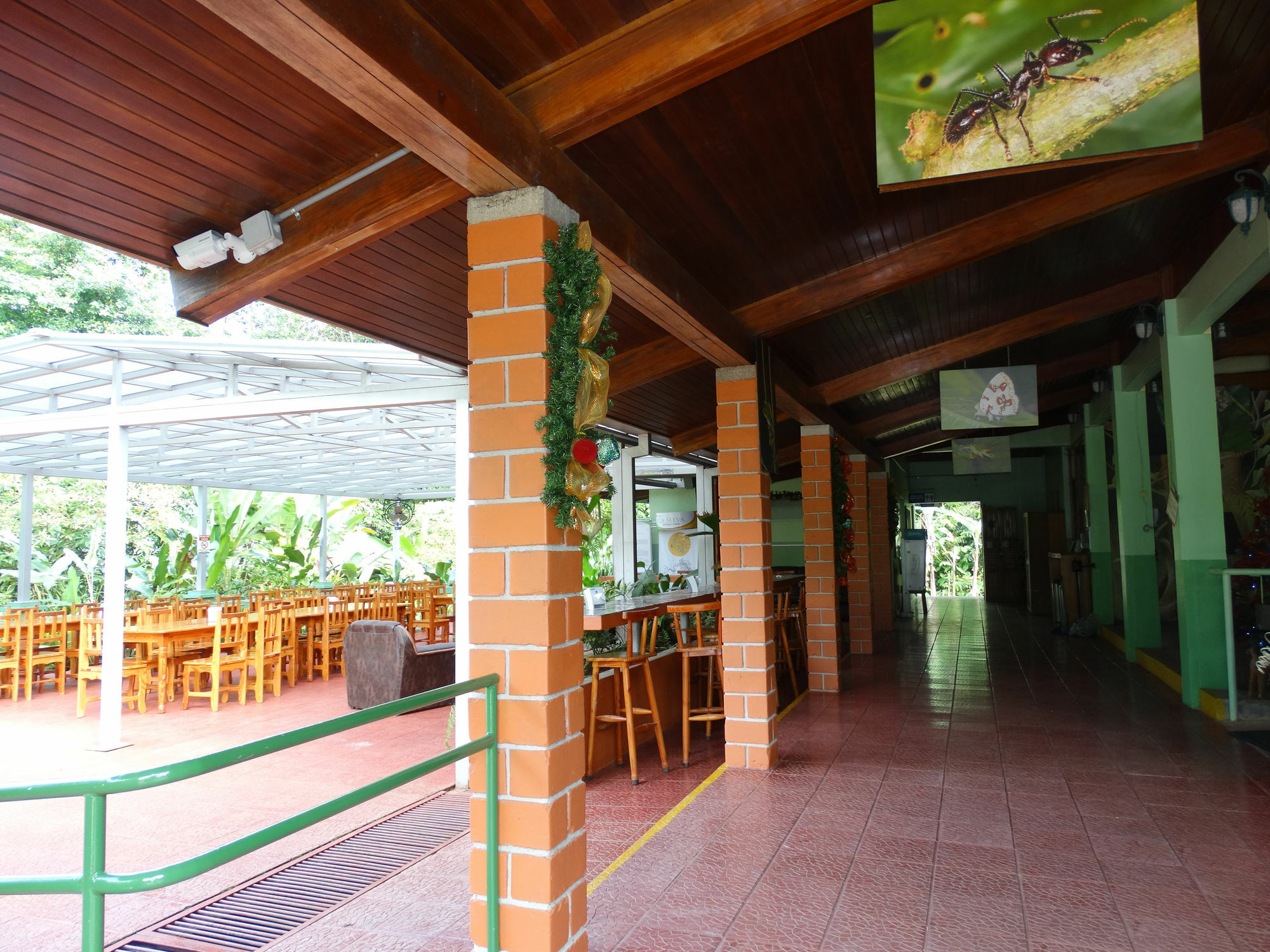 La Selva Biological Station Hotel Puerto Viejo de Sarapiqui ภายนอก รูปภาพ