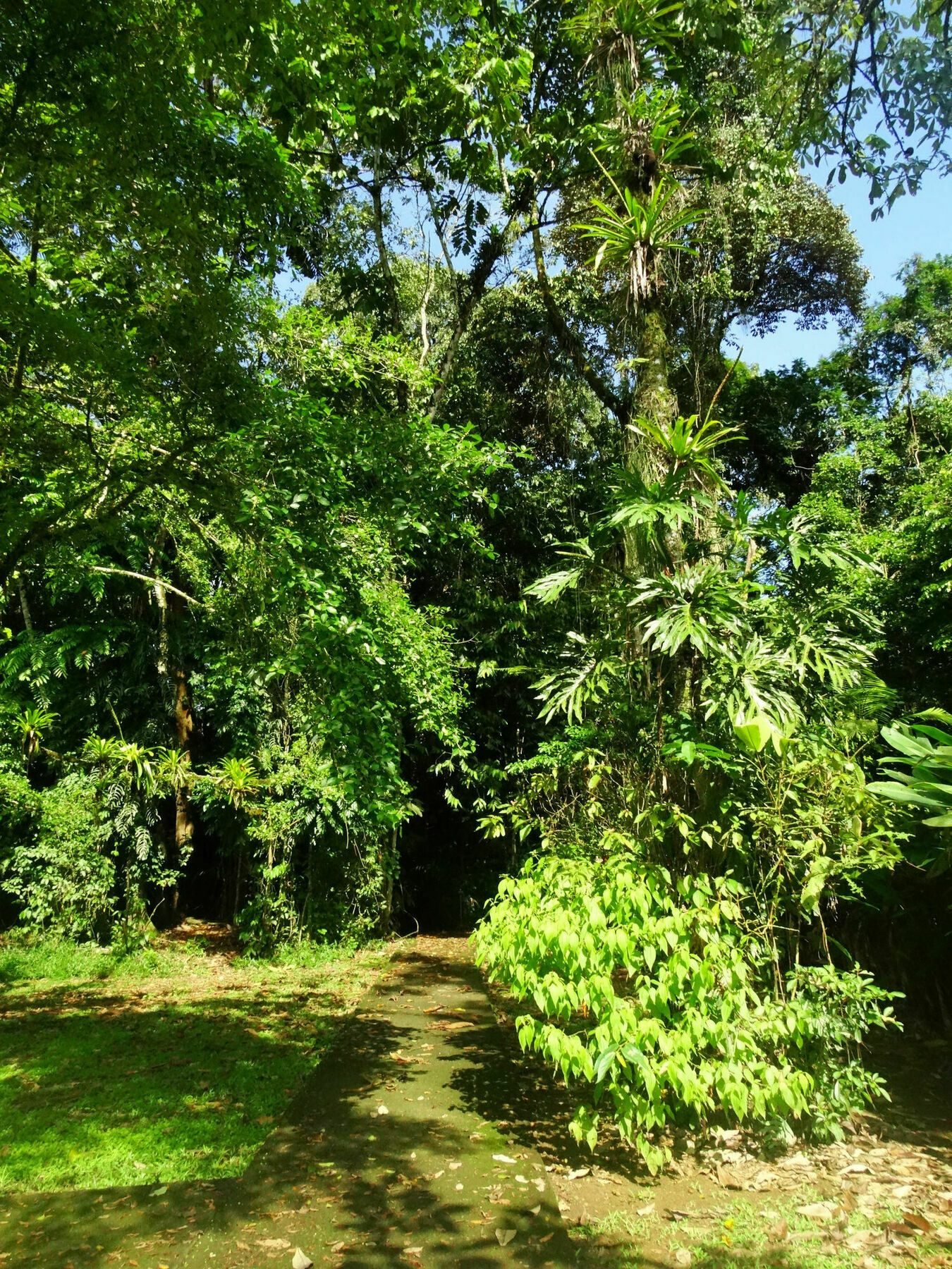 La Selva Biological Station Hotel Puerto Viejo de Sarapiqui ภายนอก รูปภาพ